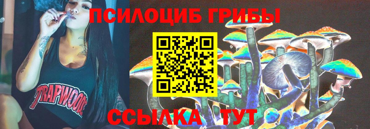 Кимры  Псилоцибиновые грибы MAGIC MUSHROOMS  Вход с VPN 