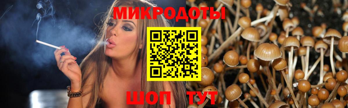 Псилоцибиновые грибы Cubensis Кимры